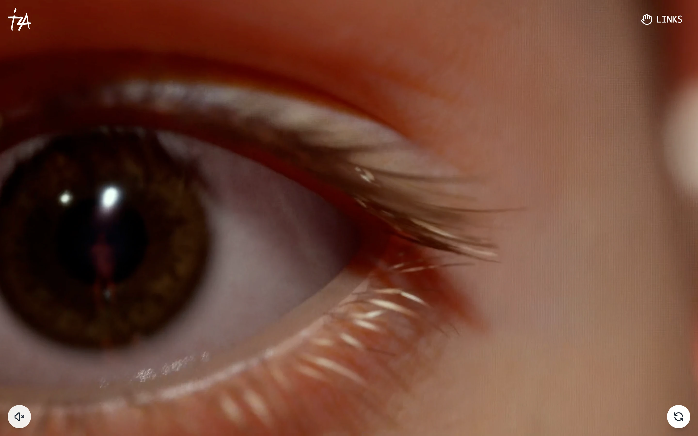 Zadorozhnaia.com — сайт художника скриншот 3